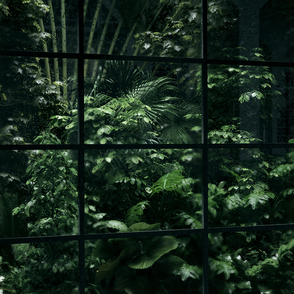 NS_bokbok_greehouse_B
